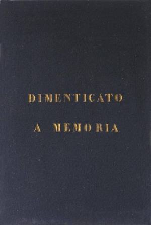 Vincenzo Agnetti, Dimenticato a memoria, 1972, feltro dipinto, 118,9x79,4 cm